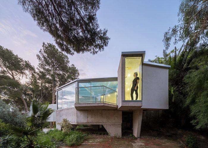 ESPECIE ARQUITECTURA