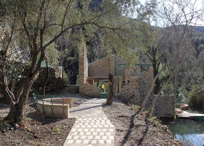 El-camino-de-la-almazara-01_v2
